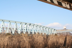 日の出町緑地東武伊勢崎線荒川放水路鉄橋から葦の生えるTXの鉄橋