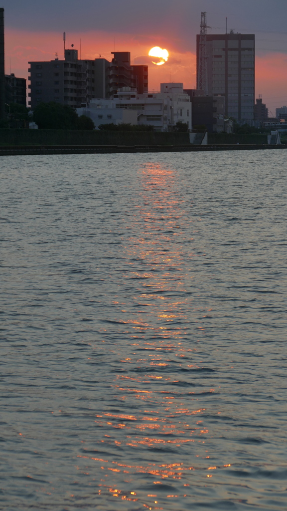 秋の隅田川に映る夕日の