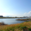 都市農業公園の荒川と新柴川の合流水門