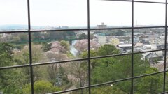 岡崎城の天主からの眺め２