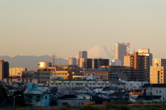 朝の荒川の土手から丹沢山系と富士山