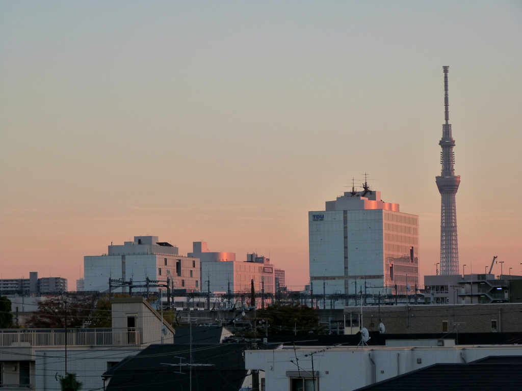 荒川土手から夕日を浴びる千住の風景