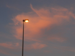 ’２３新春の千住新橋の街路灯と夕焼雲