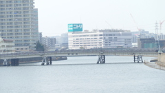 新田橋隅田川