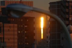 夕日の照り返し