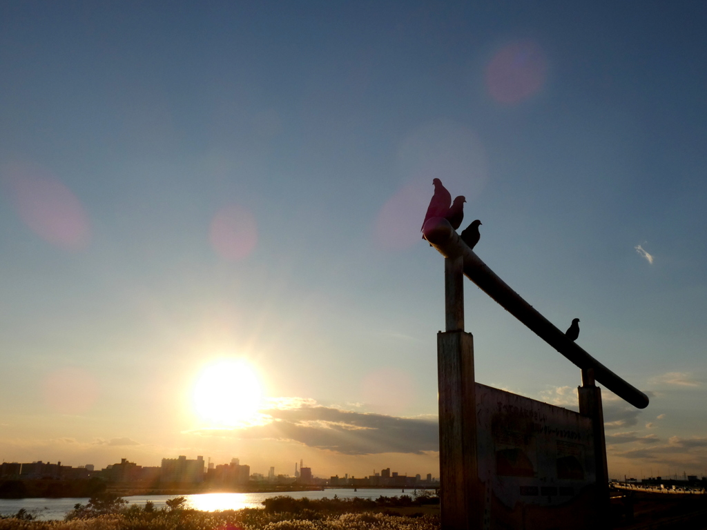 荒川の夕日と閑古鳥
