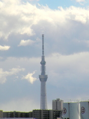 千住桜木ワンドから大きな雲の帯をバックに東京スカイツリー