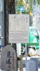 べらぼうの舞台の新吉原見返りの柳