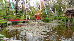 千駄木須藤公園の河童池