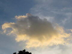 浮かぶ夕雲