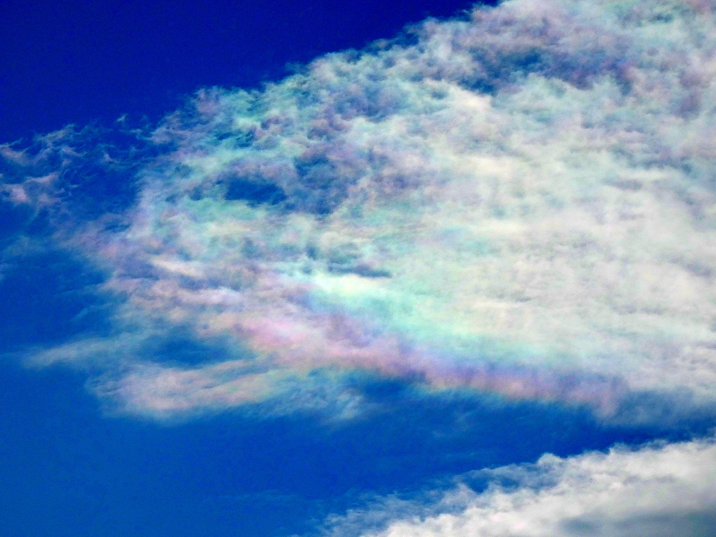 荒川高速側土手の彩雲のズーム