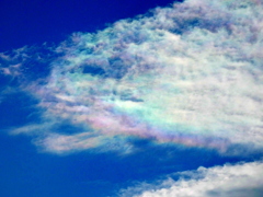 荒川高速側土手の彩雲のズーム