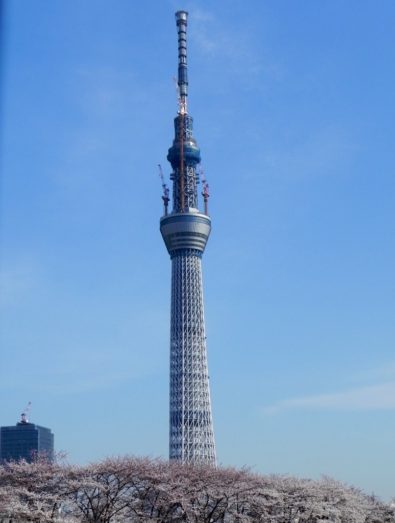 隅田川沿いのもうすぐ東京スカイツリー震災は大丈夫でした