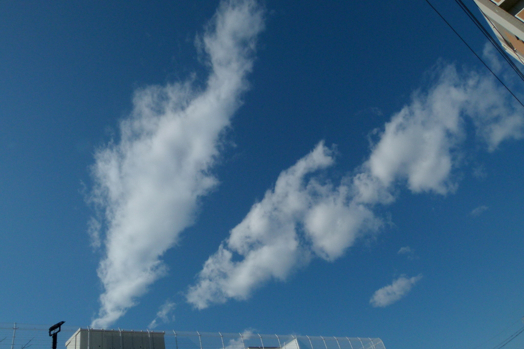 近所の大学の寮の屋根から大きな白雲