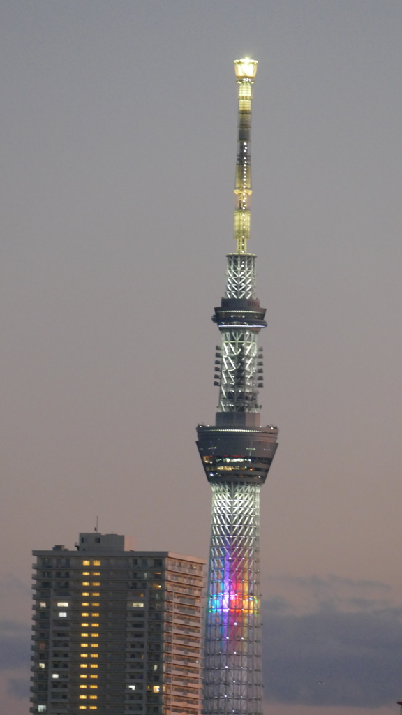 元日の夕方の東京スカイツリー