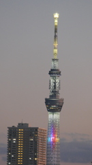 元日の夕方の東京スカイツリー