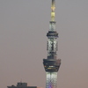 元日の夕方の東京スカイツリー