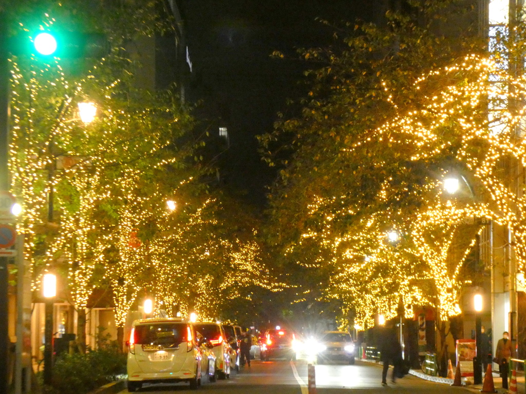 東京駅八重洲口道の中央道りの方面のイルミネーション