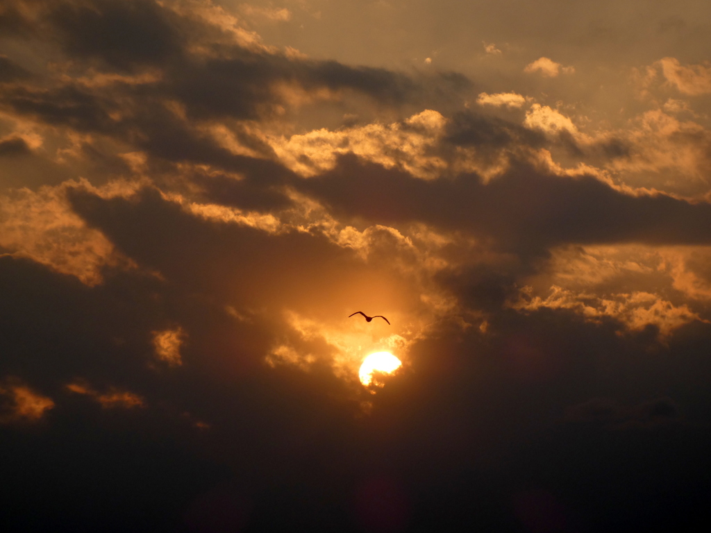 雲間に沈む夕日