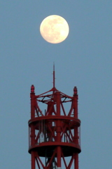隅田川テラスからTEPCOタワーの上の月齢13.9の月