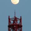 隅田川テラスからTEPCOタワーの上の月齢13.9の月