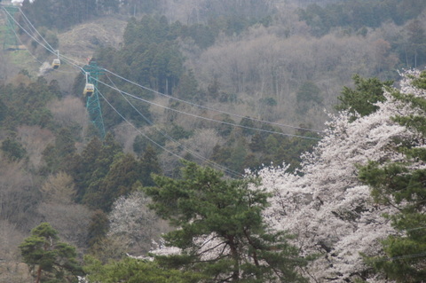 美の山から見下ろす風景、緑の鉄塔が