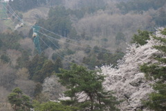 美の山から見下ろす風景、緑の鉄塔が