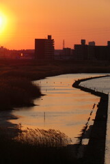 夕焼けの荒川のワンド