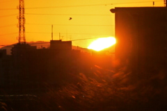 荒川土手の階段から景信山の裾野に落ちる夕日