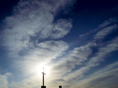 荒川土手の逆光の雲