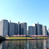 ラメる隅田川の向う河岸のマンション群とオオカンザクラ