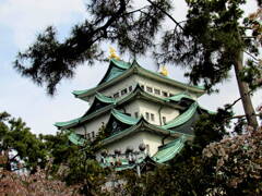 今度は松と名古屋城
