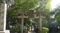 隅田川沿いの向島三国神社