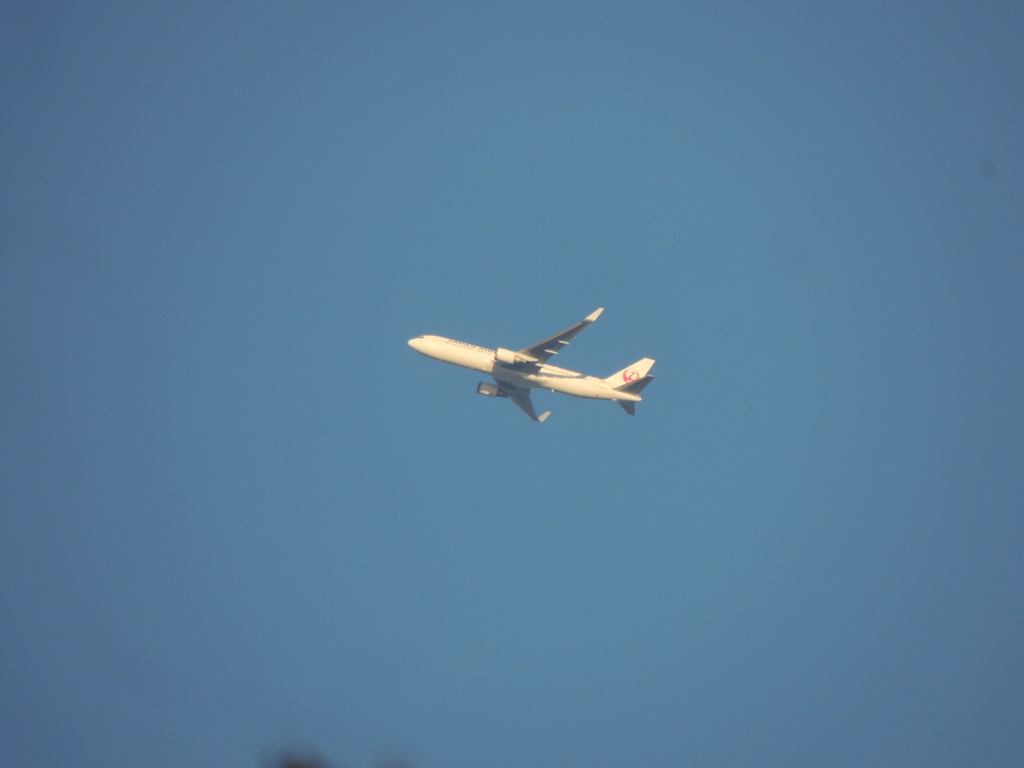 上野東照宮の上空のJAL機