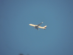 上野東照宮の上空のJAL機