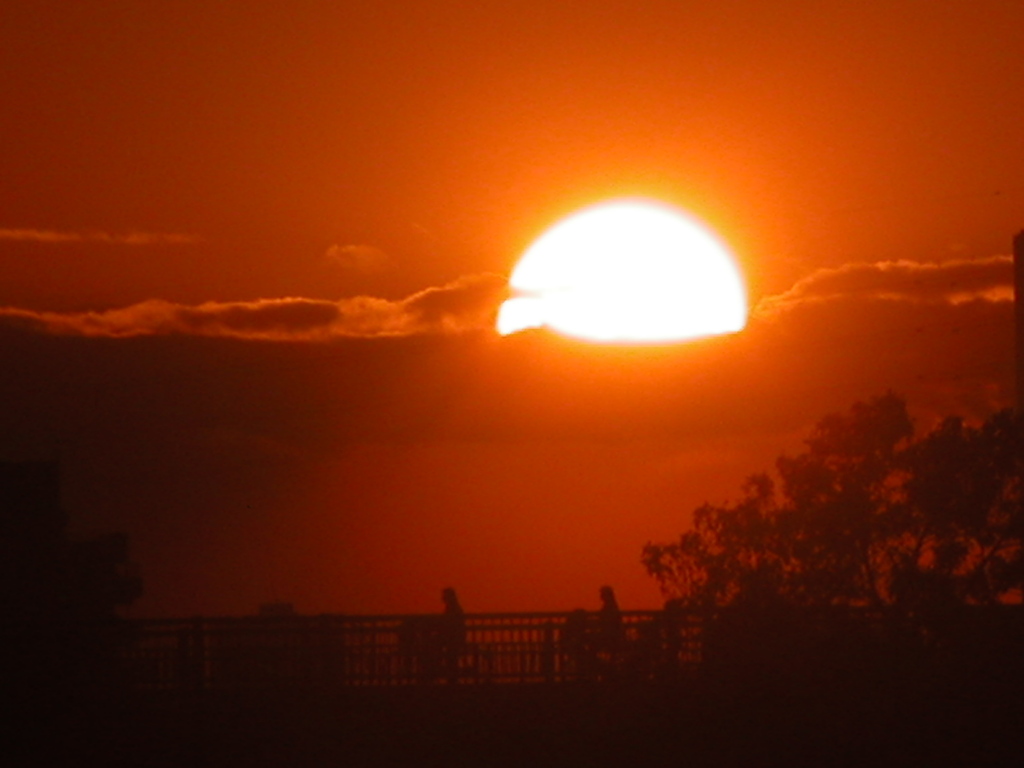 橋の上の夕日１
