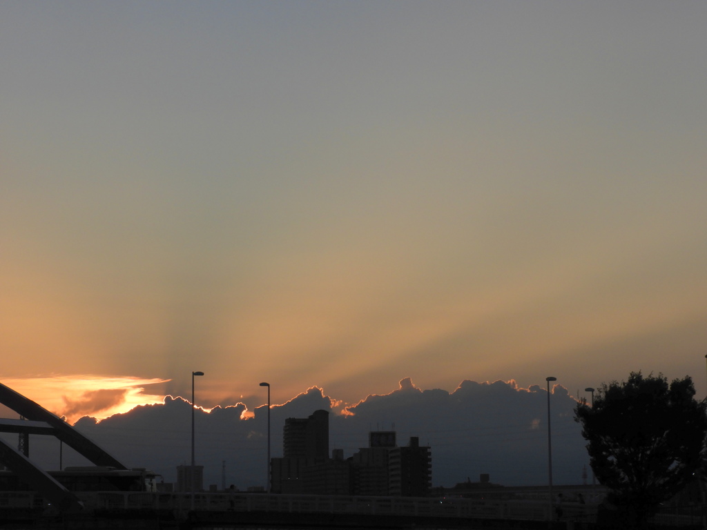 尾竹橋の夕景
