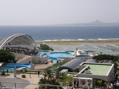美ら海水族館