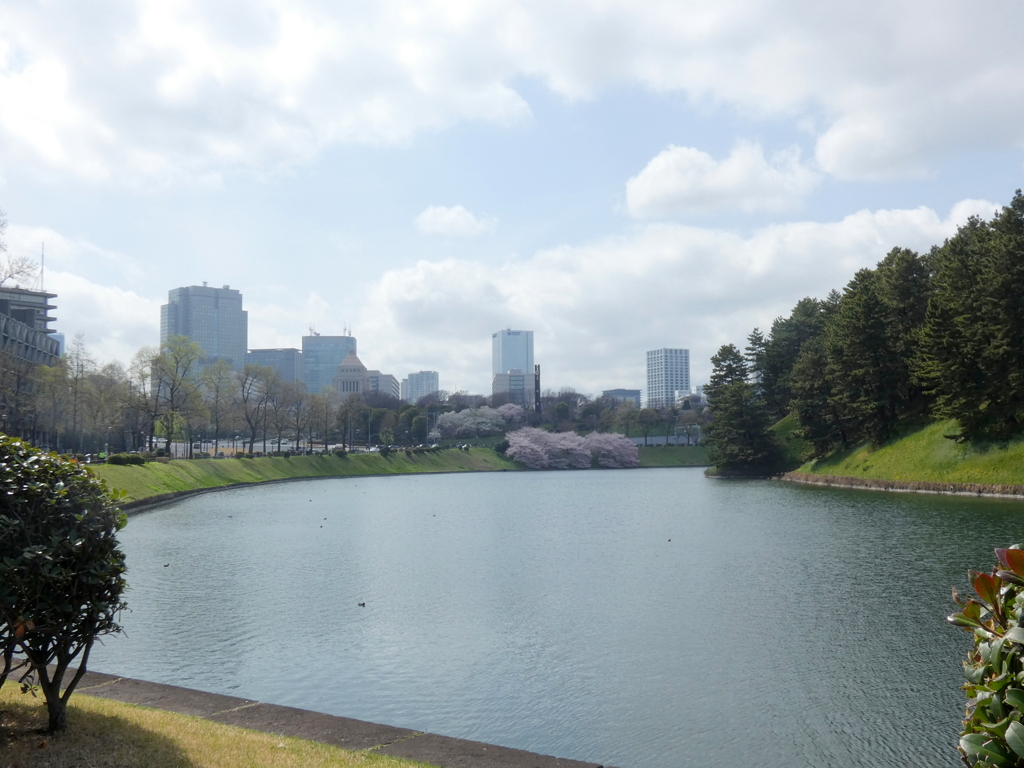 桜田門からの春霞の風景