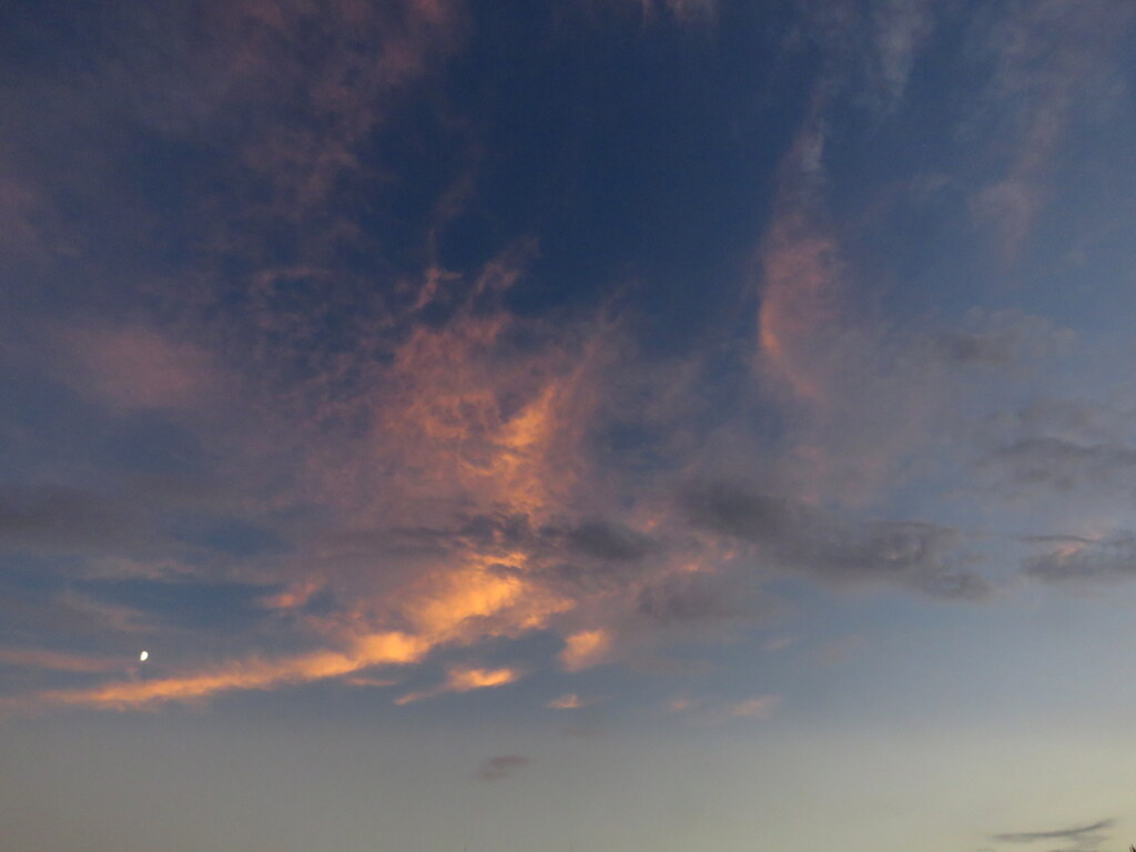 隅田川上空のゆうぐも