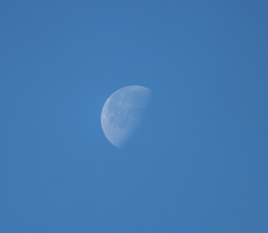 月齢20.7朝の月