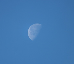 月齢20.7朝の月