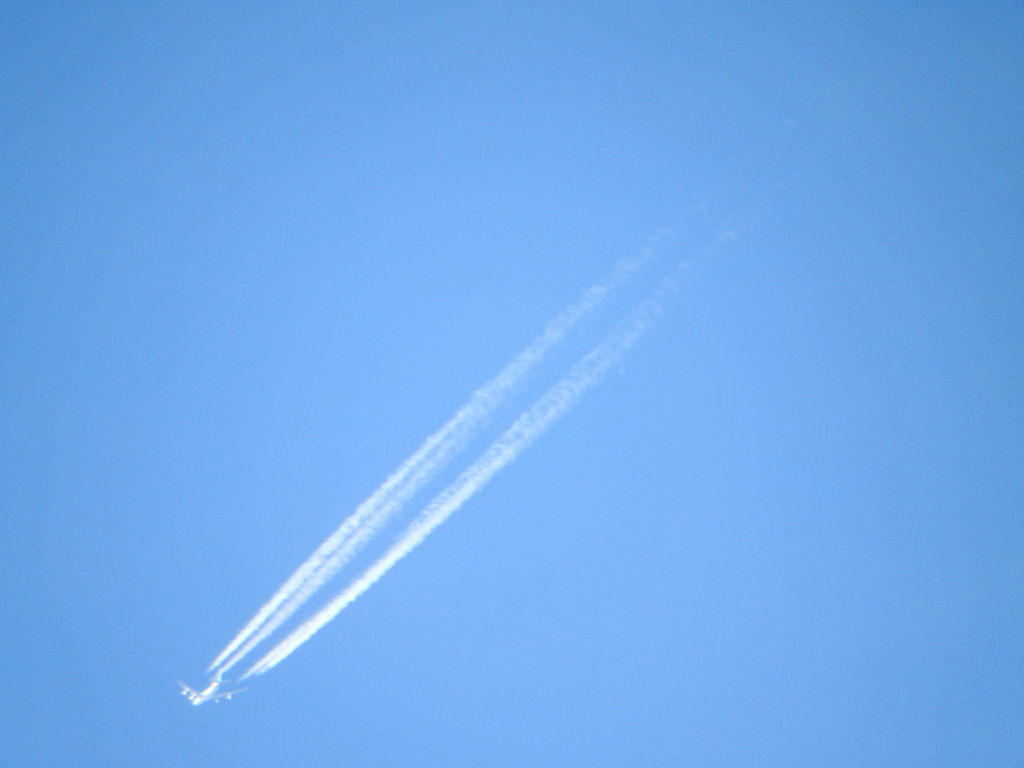 荒川土手からの飛行機雲