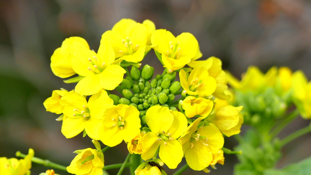 隅田川テラスにて