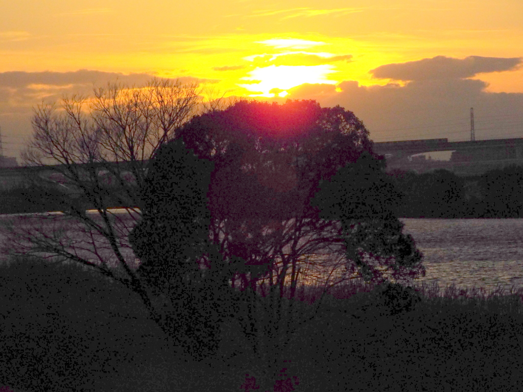 河原の榎の上の雲の中に落ちる夕日