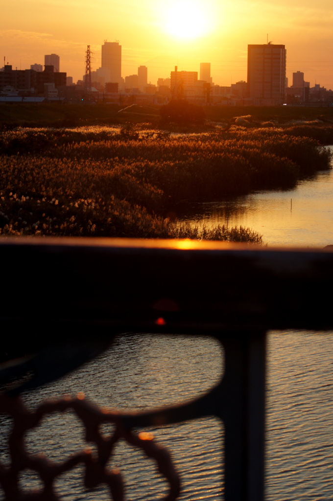 荒川の橋からの夕日