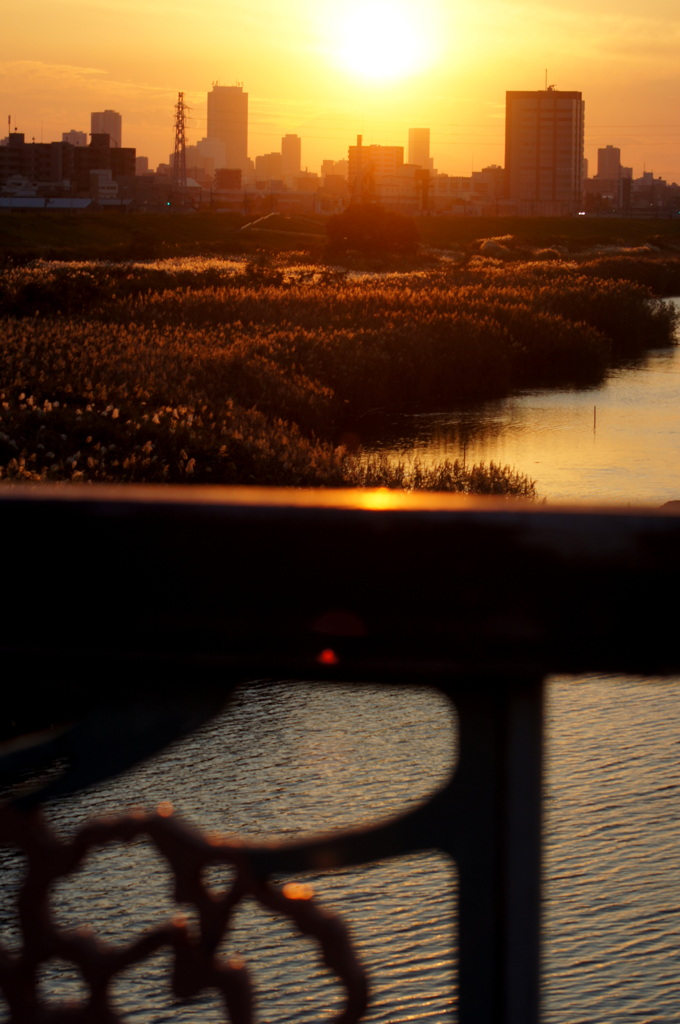 荒川の橋からの夕日