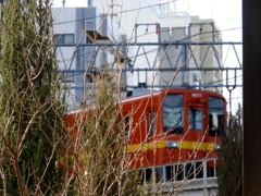 曳舟花壇越しの赤い東武線