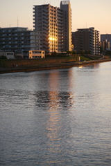 隅田川のマンションビルの夕日の反射光線