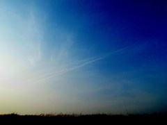 荒川土手上の淡い長ーいジェット雲
